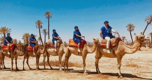 Palmeraie on camels