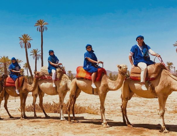 Palmeraie on camels