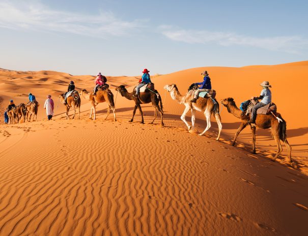 The Moroccan desert 2