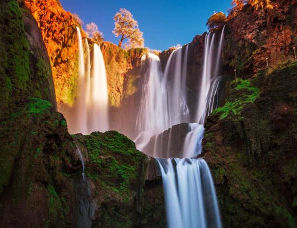 Viagem de um dia às cataratas de Ouzoud a partir de Marraquexe